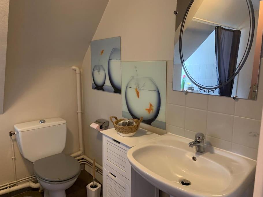Le Grenier Studio De Charme Centre Historique 迪南 外观 照片